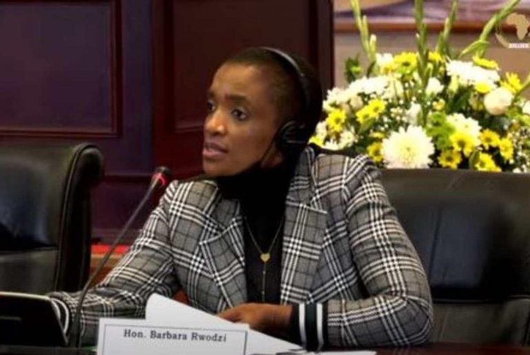 New Deputy Minister For Environment Sworn In