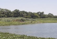 Glen View, Budiriro Prone To Another Cholera Outbreak Glen View, Budiriro Prone To Another Cholera Outbreak