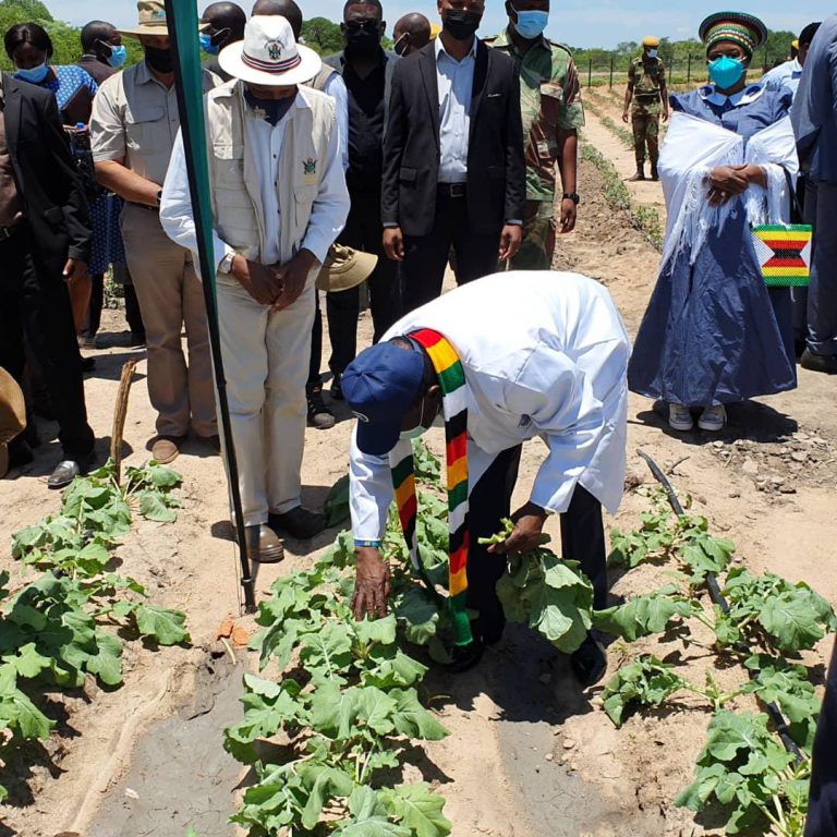 Presidential Rural Development Scheme To Create 840 000 Jobs – Minister Masuka