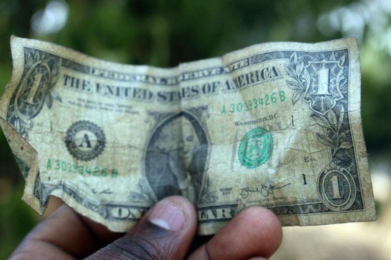 ZANU PF Official Allegedly Paid US$3 To Voters, Threatened Vendors With Eviction