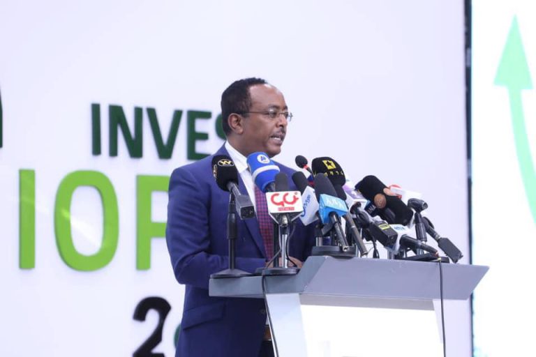Diaspora Investment Forum to Promote Ethiopia’s Investment Potential Kicks off