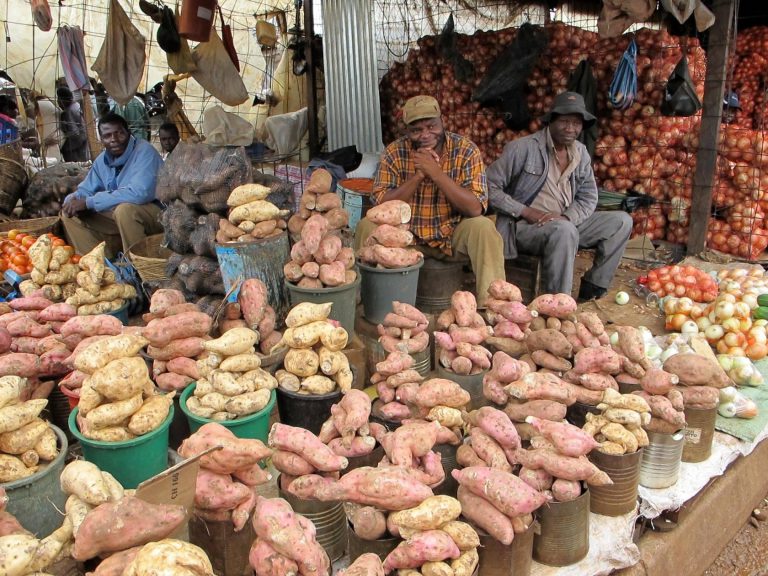 Lusaka Mayor Declares War On Vendors Majority Of Which Are Zimbabweans