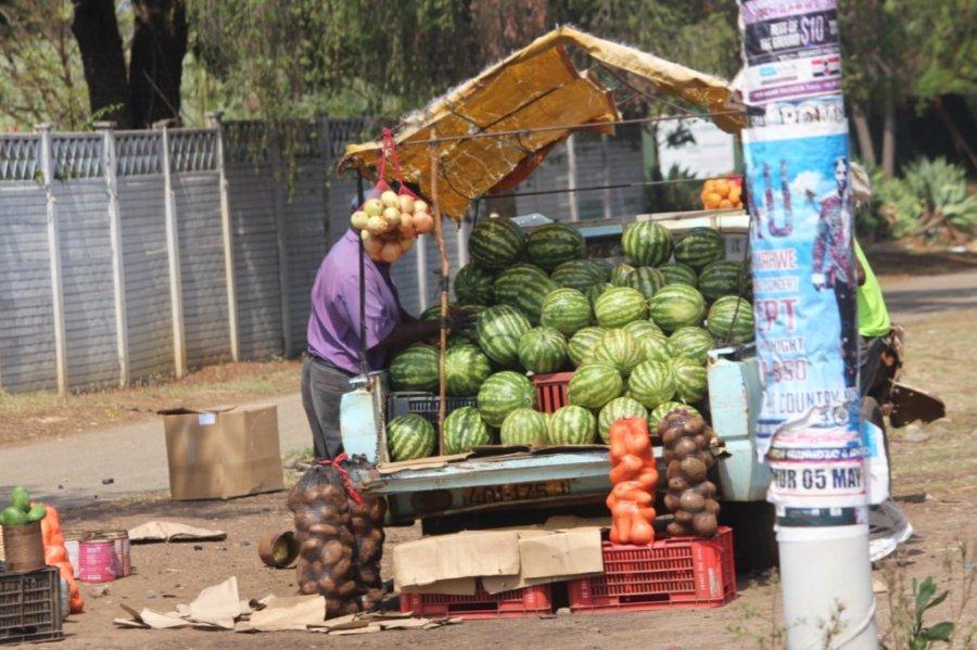 Harare Street Vendors To Be Moved To Shawasha Grounds