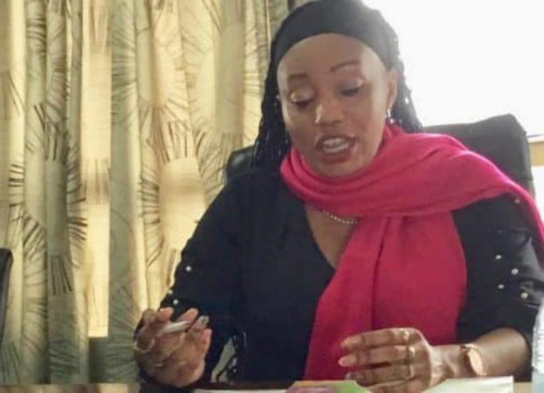 CSOs Attack ZEC For Blocking First Time Voters