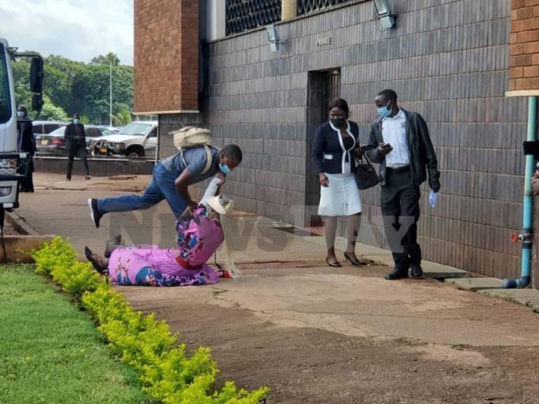 VP Chiwenga’s Wife, Marry Collapses At Court Again