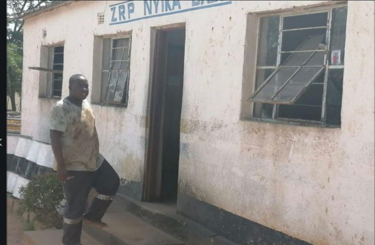 “Abducted” MDC Alliance Activist Charged With Publishing False Statements Prejudicial To The State