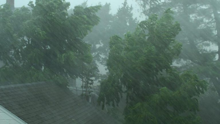 ‘Weakened’ Tropical Storm Ana Makes Landfall In Mozambique