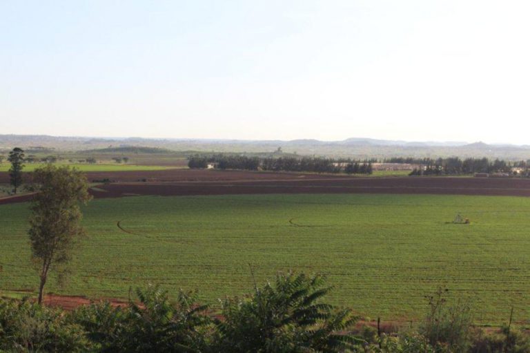 2 500 Families In Chiredzi Face Eviction