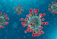 WHO Warns Of Possible Spike In COVID-19 Deaths WHO Warns Of Possible Spike In COVID-19 Deaths