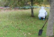 Woman’s Headless Body, With Burn Injuries Discovered In Mudzi Woman’s Headless Body, With Burn Injuries Discovered In Mudzi