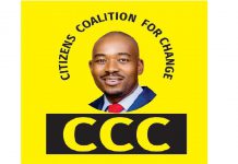 Nelson Chamisa’s CCC supporters protesting in Gokwe CCC: A New Party Or An Old Reformed One? – Analysis