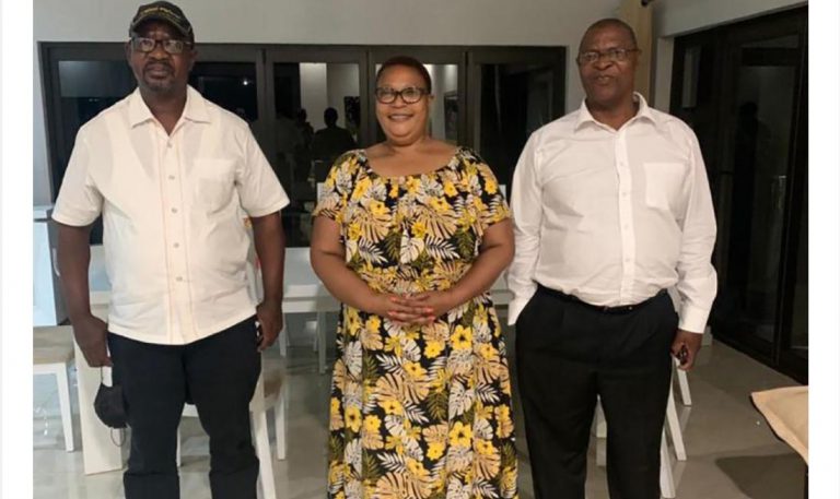 Magaisa, Chamisa, Chin’ono Respond To Welshman’s Tweet “Proposing Coalition With Khupe”