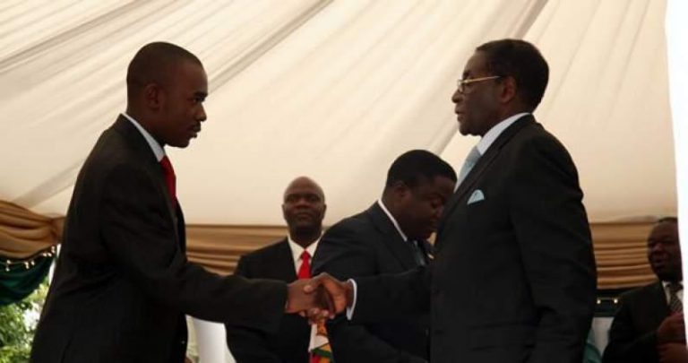 Dabengwa, Tsvangirai, Mugabe, Everyone, Endorsed Me – Chamisa