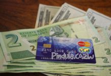 ’29 Per Cent Of Zimbabweans Earn Less Than US$50 Per Month’ ’29 Per Cent Of Zimbabweans Earn Less Than US$50 Per Month’