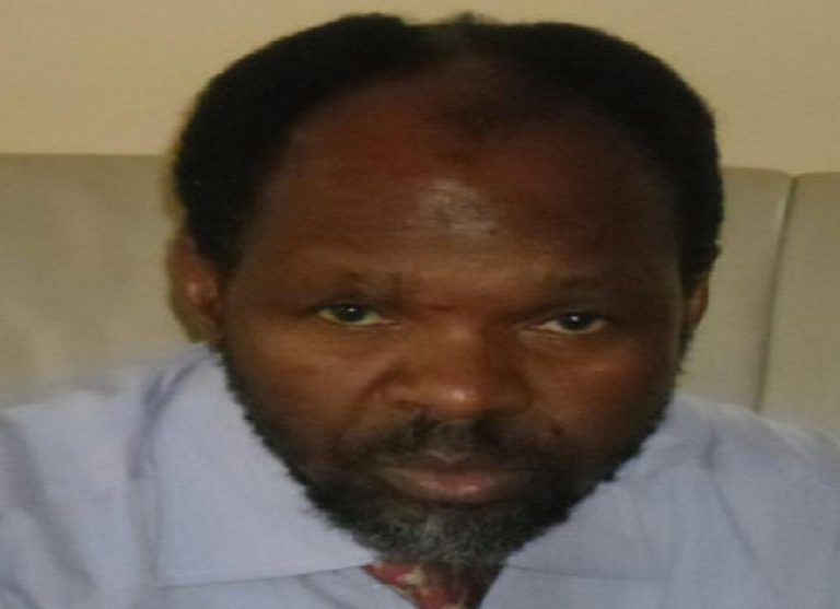 ZEC Has Never Been Fair In Doing Its Work – Masunungure