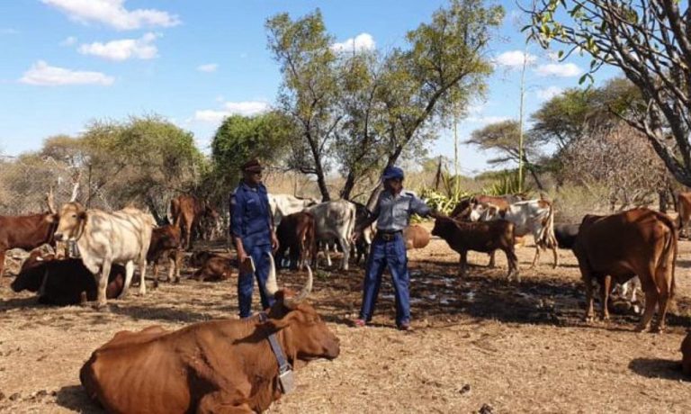 Cattle Rustling Should Be Eradicated Urgently – Kazembe