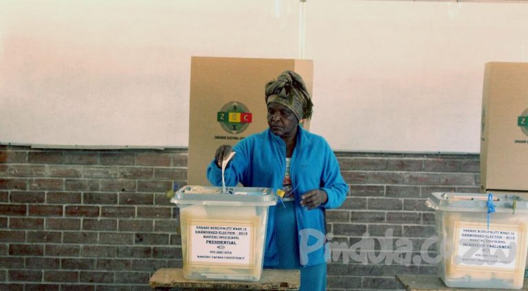 ‘Massive Voter Turnout Alone Cannot Overwhelm Vote-rigging System’