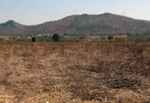 Govt To Repossess Unused Land From Indigenous Farmers Govt To Repossess Unused Land From Indigenous Farmers