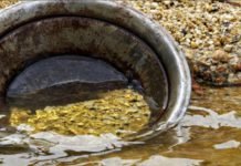 10 Zimbabwean Border Jumpers Jailed For Illegal Mining In SA 10 Zimbabwean Border Jumpers Jailed For Illegal Mining In SA