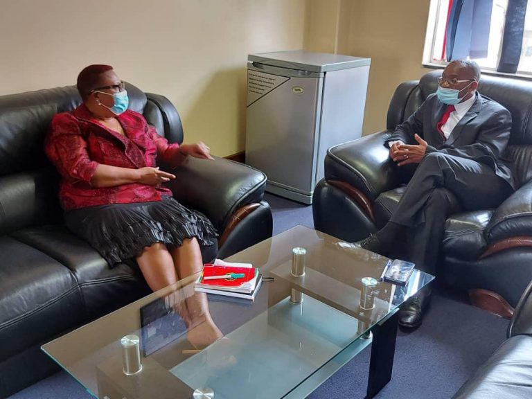Senior CCC Official Likens Mwonzora And Khupe To Venomous Snakes
