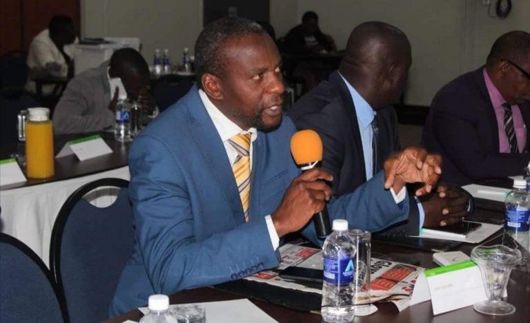 ZANU PF’s Al-Shabaab Should Be Disbanded – Chikwinya