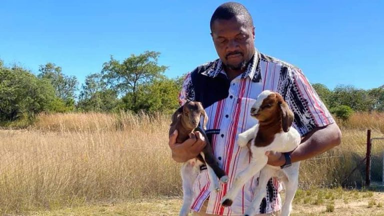 FULL THREAD: Chin’ono Says He Never Received Goats From ZANU PF