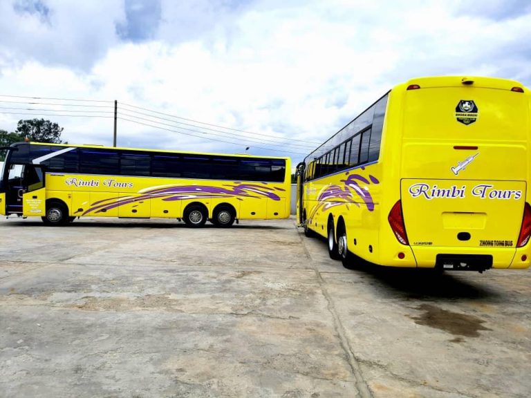 South African Minister Orders Zimbabwe Bus Company Ban