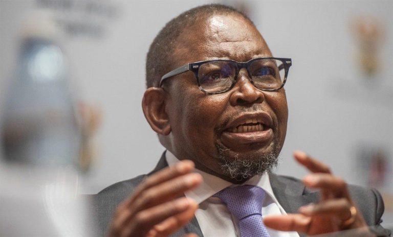 Godongwana talks energy, SA economy with World Bank president, US treasury secretary Yellen