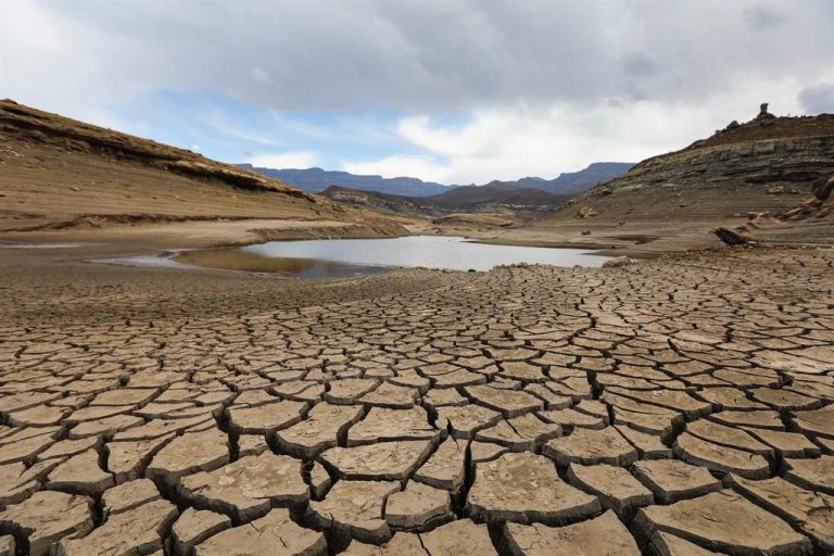 East Africa drought set to get worse: U.N