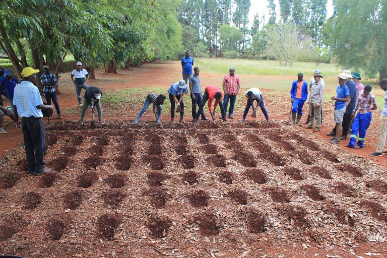 GMB Tells Farmers To Open Nostro Accounts