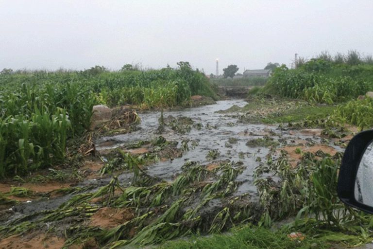 Raw Sewage Flowing Into Highfield Homesteads For Decades – Residents