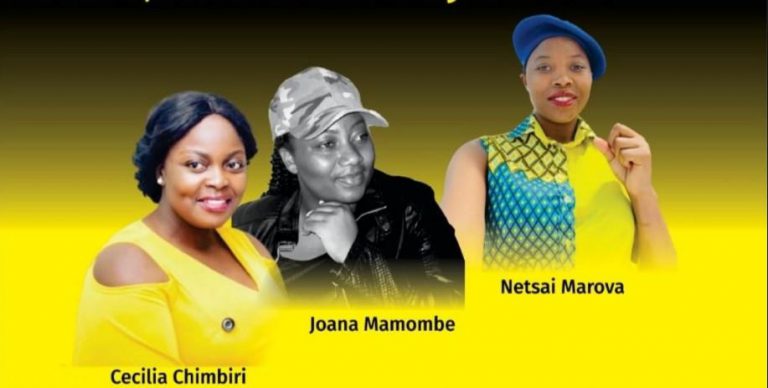 Trial Of Mamombe And Colleagues In “Fake” Abduction Case Continues