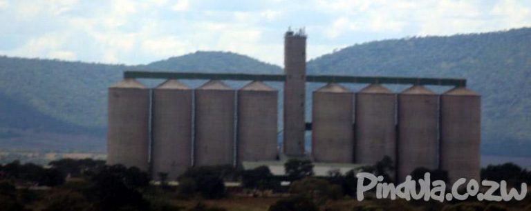 Grain Farmers Plead For A 50% USD Payment