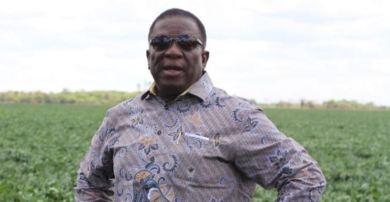 “President Mnangagwa’s Antics To Retain Power Destabilising The Economy”