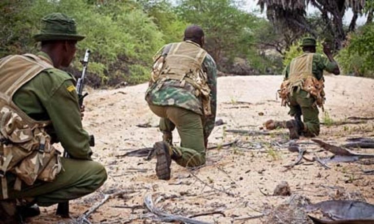 Two Suspected Poachers Shot Dead In Shoot-out With Zimparks Rangers