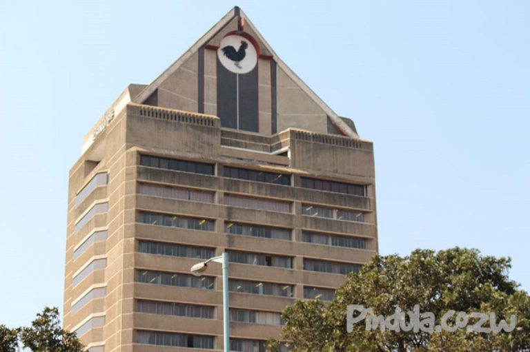 China Sponsors ZANU PF, Other Former Liberations Movements