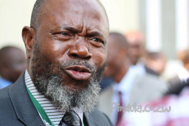 ZANU PF Activists’ Protest Against Chinotimba Flops