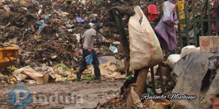 Ecocash Holdings Discontinue Waste Collection Services Citing Harare & Geo Pomona’s Project