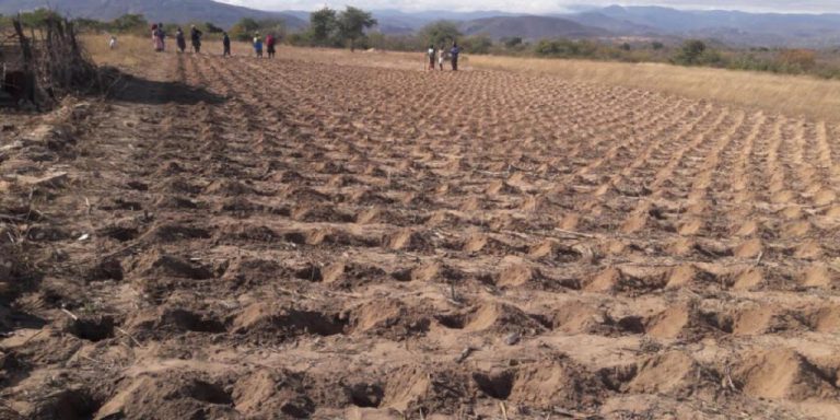Govt’s Proposed Raids On Grain Unsettle Farmers