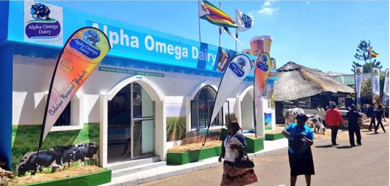Mugabe’s Gushungo Dairy Closes As Grace Sells 700 Dairy Cows