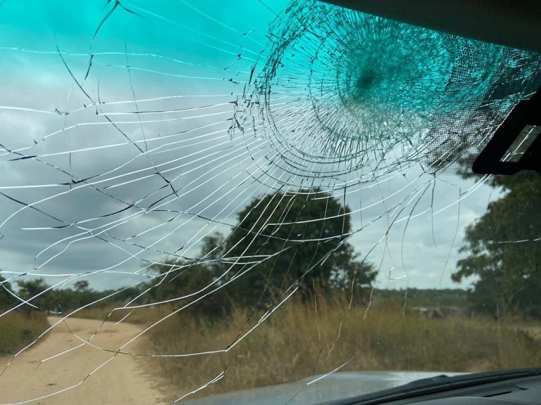 Tendai Biti Attacked At “Roadblock” In Mbire