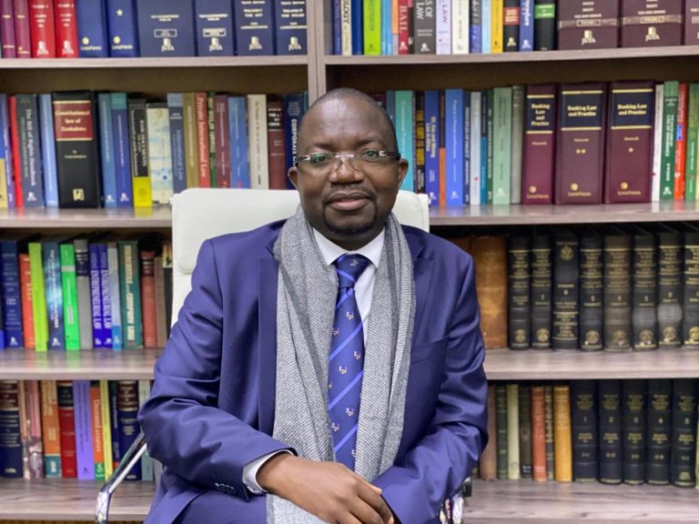 No Party Must Get Two-thirds Majority In Parliament – Advocate Mpofu