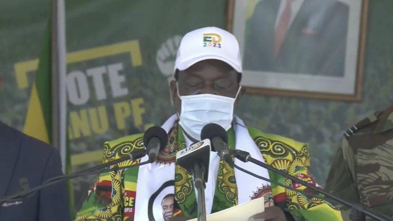 Zimbabwe Is Food Secure, Says Mnangagwa