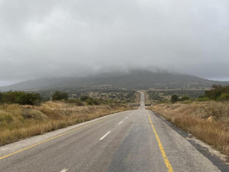 Chamisa Tells ED To Start Preparing For Retirement