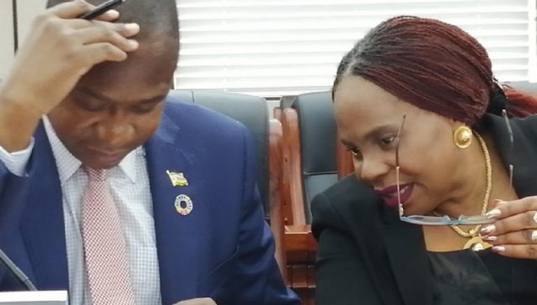 Parliament Summons Mthuli Ncube Over Gold Coins