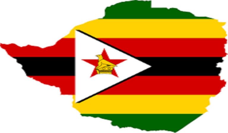 Zimbabwe Needs New Governance System That Benefits All Citizens – New Covenant