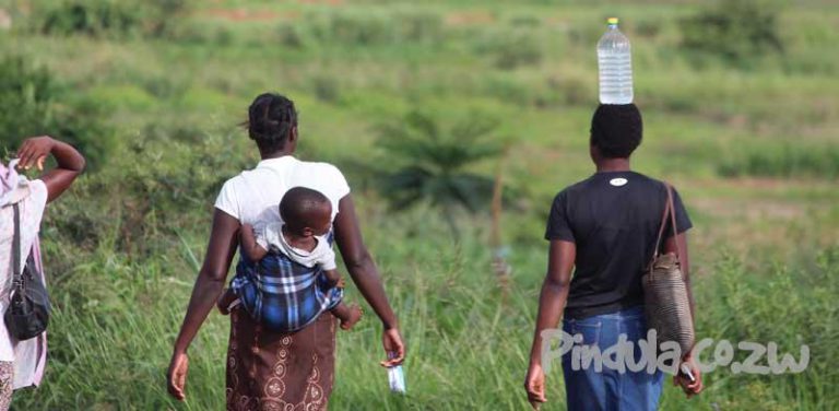 Women’s Unemployment Rate Higher Than That Of Males – ZIMSTAT