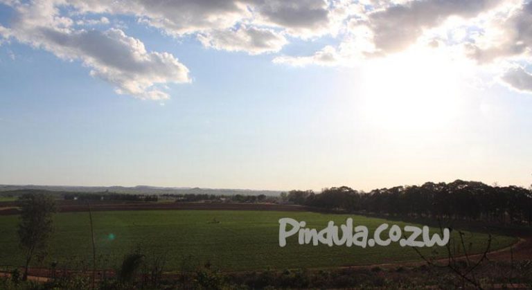 ZESA Switches Off Defaulting Farmers