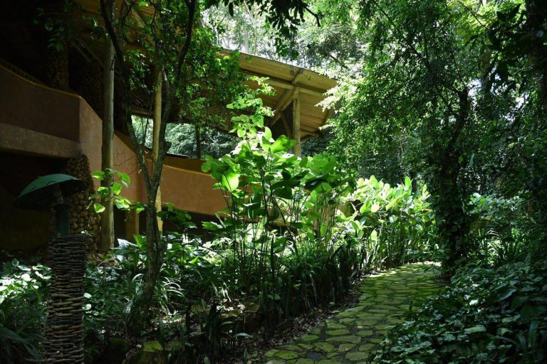 Here is how to make your garden thrive