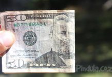 Are Zimbabwean Companies Paying US Dollar Salaries? Here’s What A Survey Found Are Zimbabwean Companies Paying US Dollar Salaries? Here’s What A Survey Found